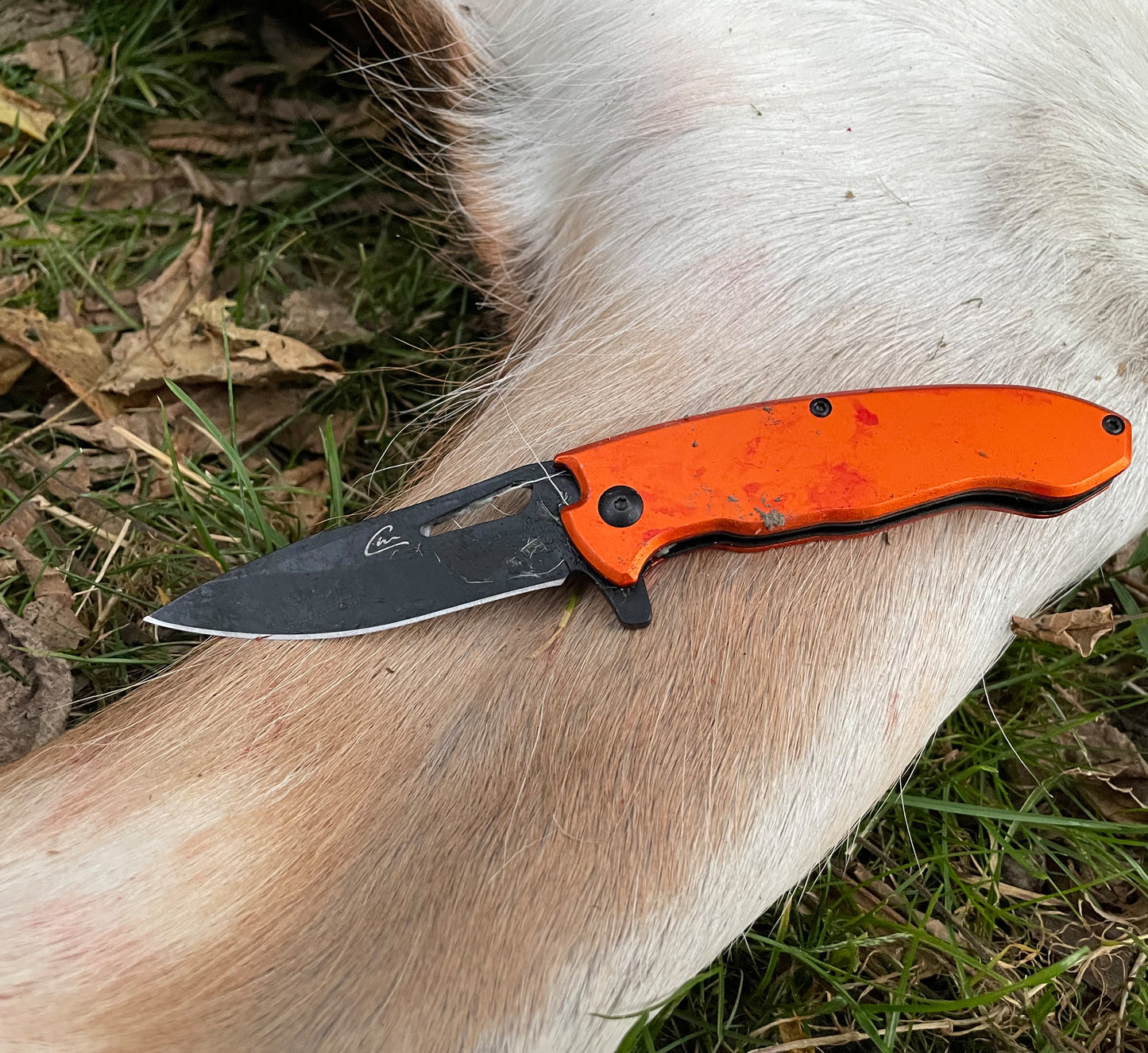 CW3 FIELD KNIFE | MULTI PURPOSE