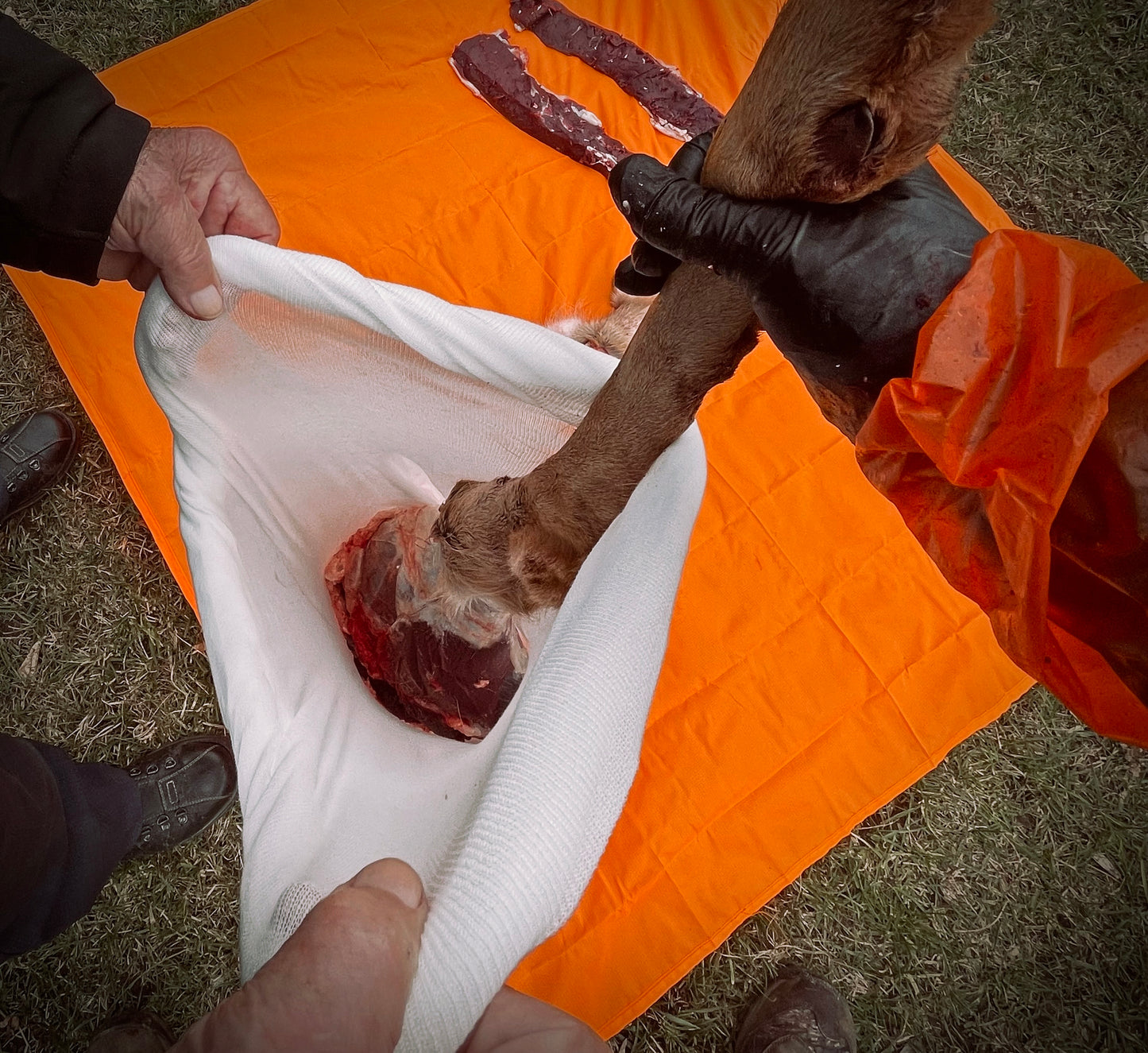 GAME BAG COMBO | 2-PACK