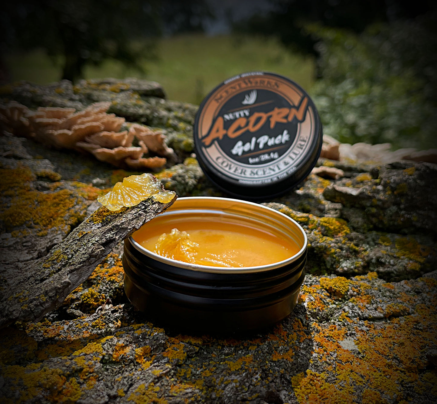 Scentworks "NUTTY ACORN" Scented Gel