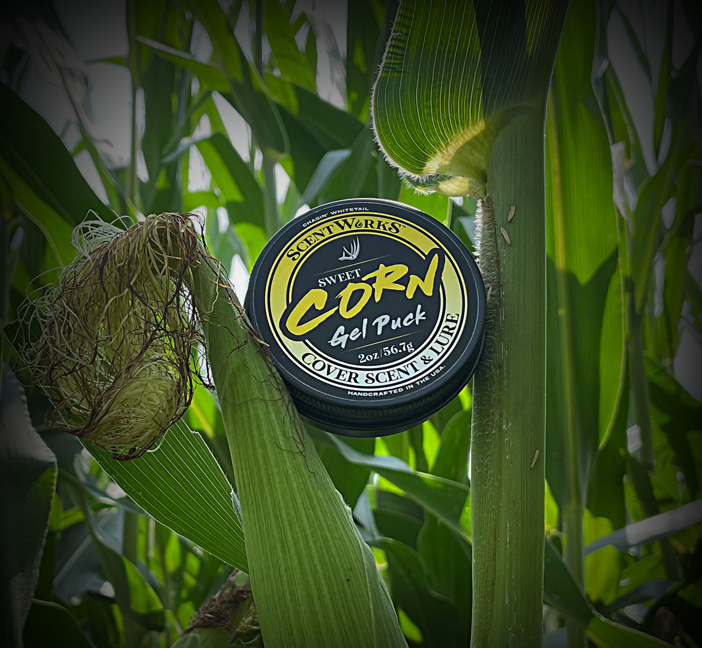 Scentworks "SWEET CORN" Scented Gel
